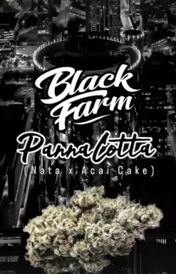 The Rare Panna Cotta Strain