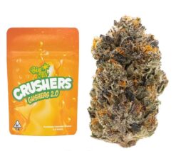 Crushers Gushers Strain