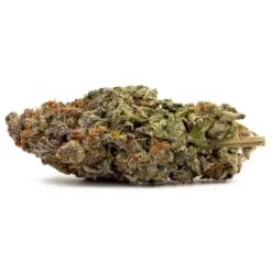 Buy Blueberry Weed Strain